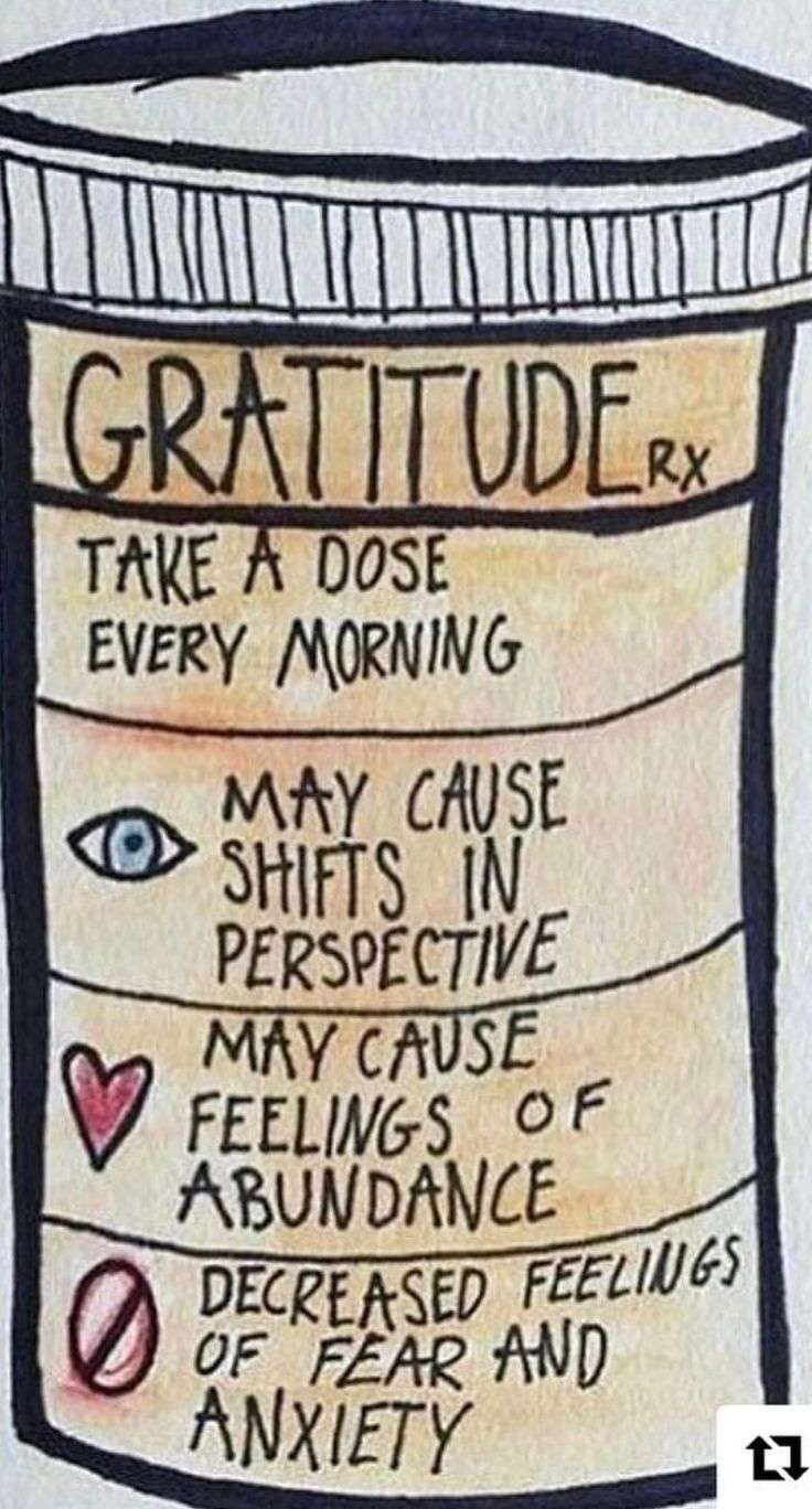 daily bliss